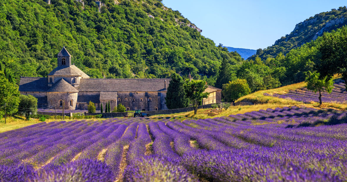 expérience touristique en Provence